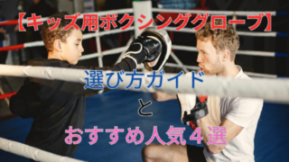 【キッズ用ボクシンググローブ】選び方ガイドとおすすめ人気4選！ 