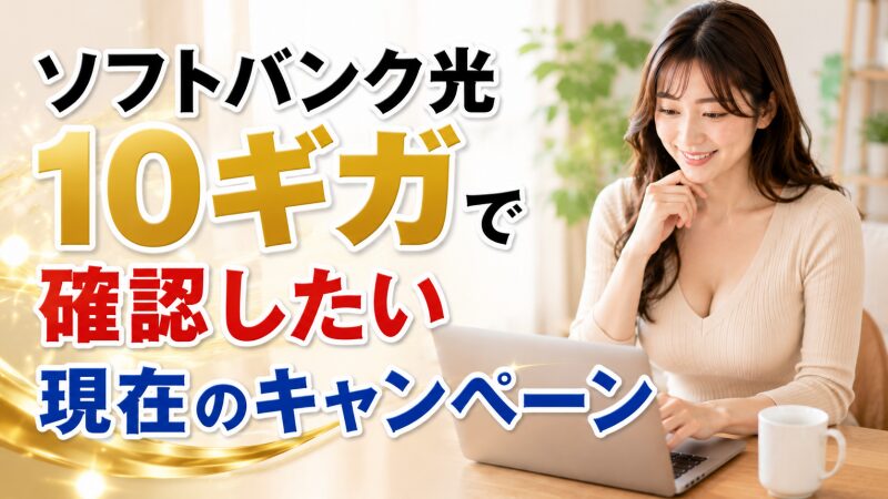 ソフトバンク光のキャンペーン条件を確認する人